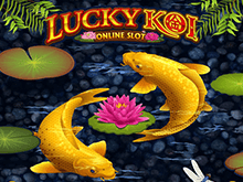Lucky Koi – игровой автомат от Микрогейминг для новичков казино